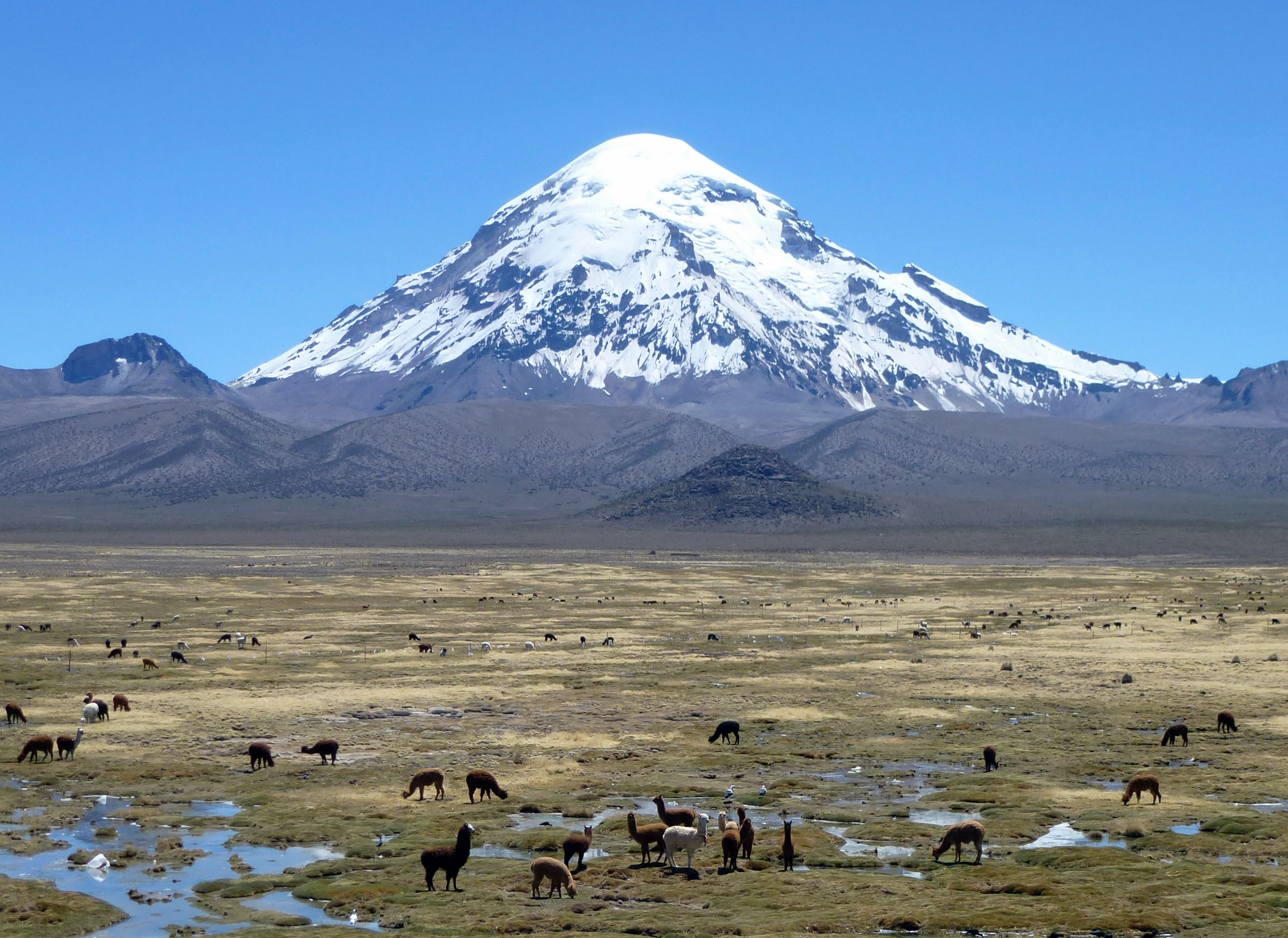 Nevado Sajama pic